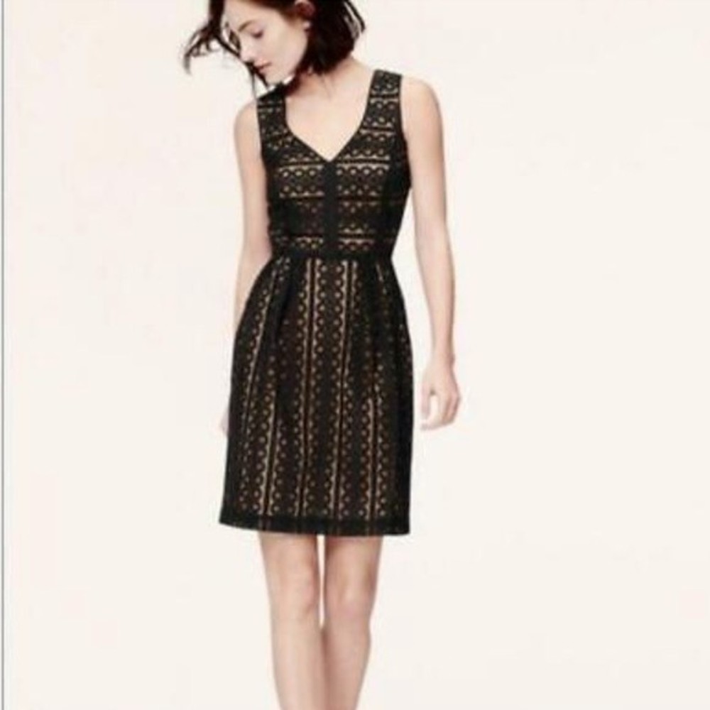 LOFT Black Lace Overlay Midi Dress